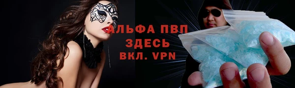 мет Алексин