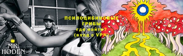 дмт Приозерск