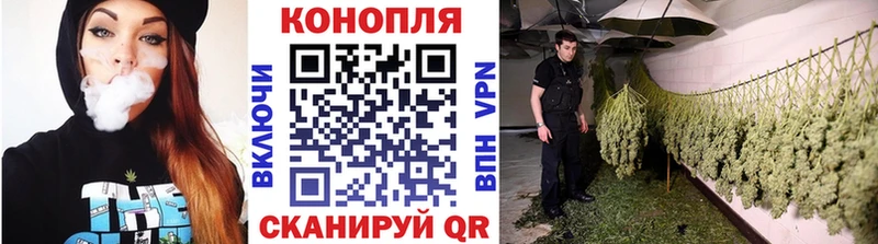 Конопля марихуана мега Грязовец